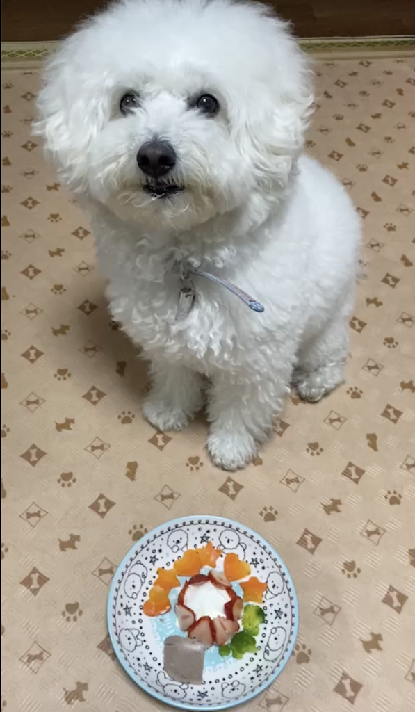 誕生日のケーキです